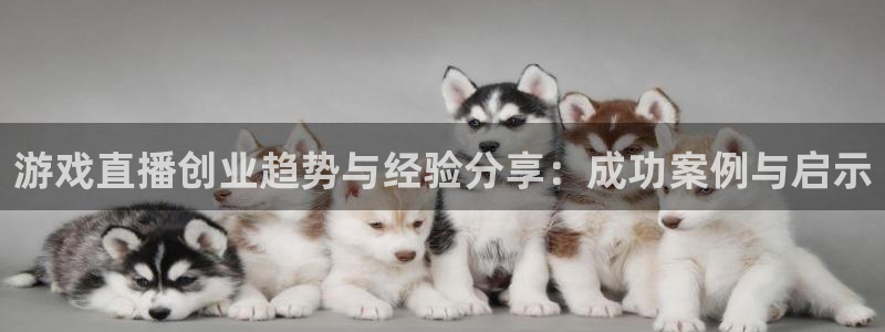 天美娱乐：游戏直播创业趋势与经验分享：成功案例与启示