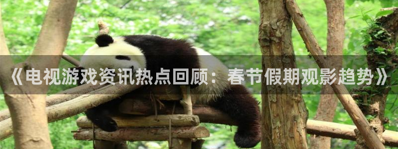 天美娱乐下载链接：《电视游戏资讯热点回顾：春节假期观影趋势》