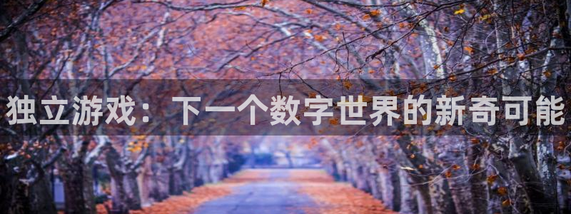 天美娱乐官网：独立游戏：下一个数字世界的新奇可能