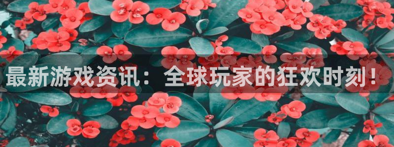 天美娱乐平台登录：最新游戏资讯：全球玩家的狂欢时刻！