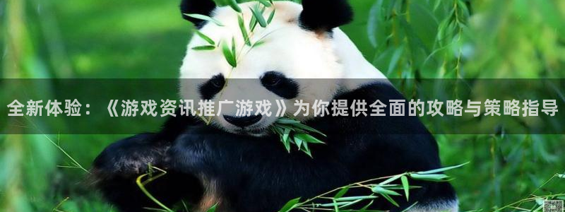 天美娱乐公司