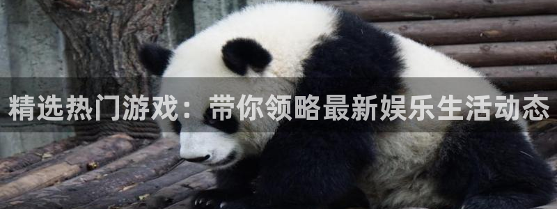 天美娱乐app怎么下载