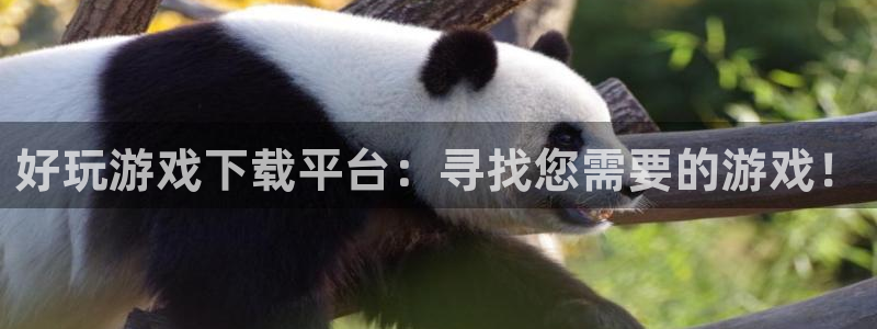 天美娱乐平台怎么样啊