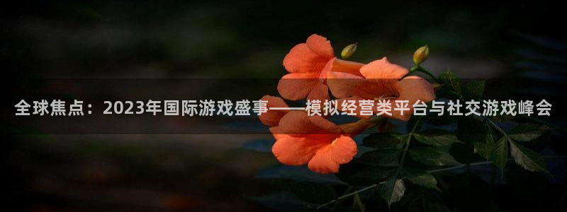 天美娱乐主管：全球焦点：2023年国际游戏盛事——模拟经营类